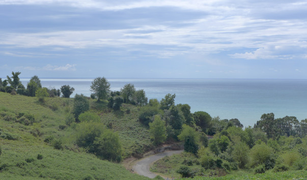 P1090404
