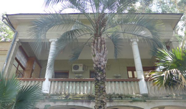 P1090394