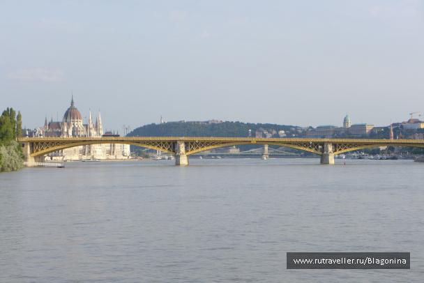 photo 1324853