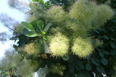 photo 1325173