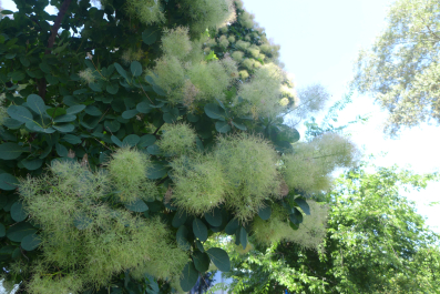 photo 1325174