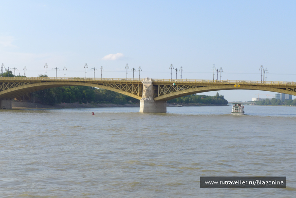 photo 1325178