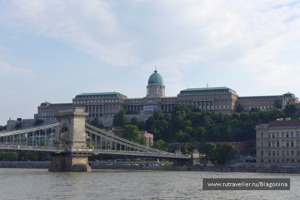 photo 1325636