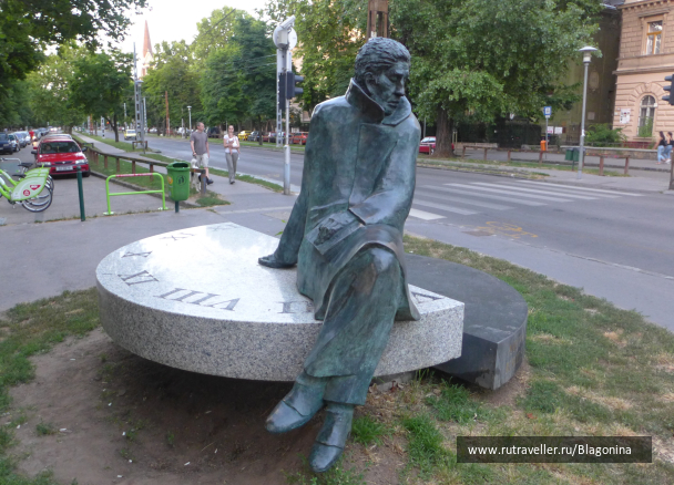 photo 1329565