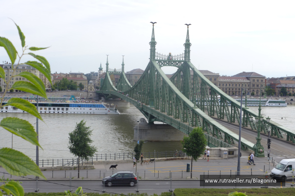photo 1329727