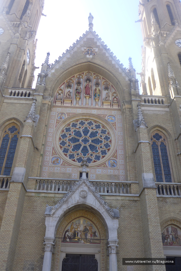 photo 1331699