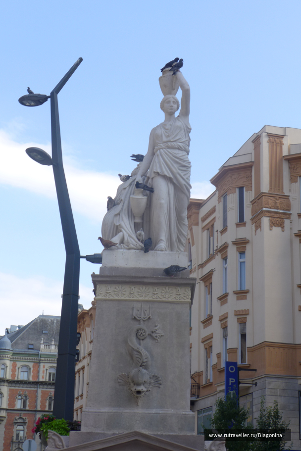 photo 1332435