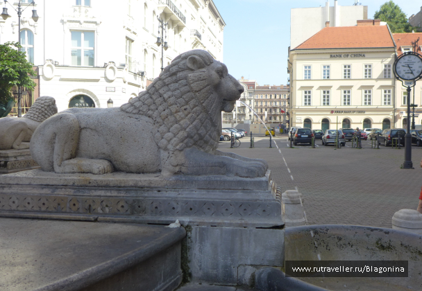 photo 1333240