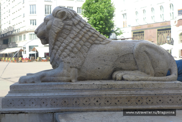photo 1333241