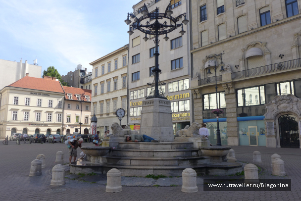 photo 1333242
