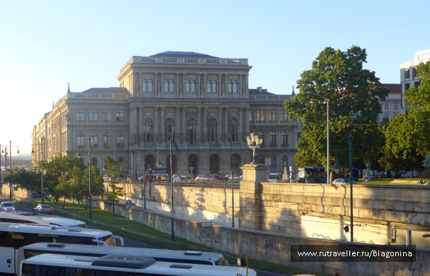 photo 1333263