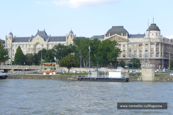 photo 1333264