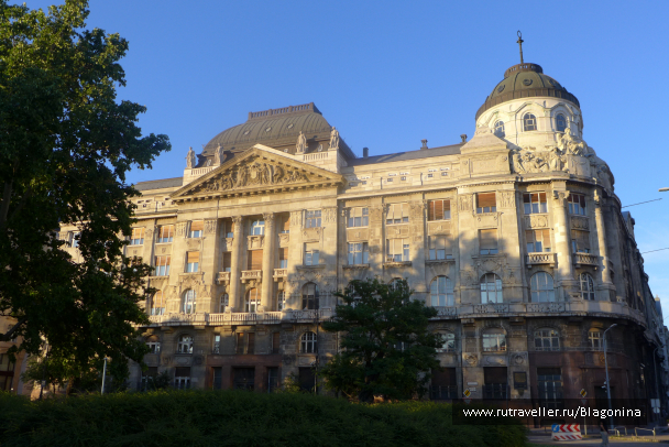 photo 1333265