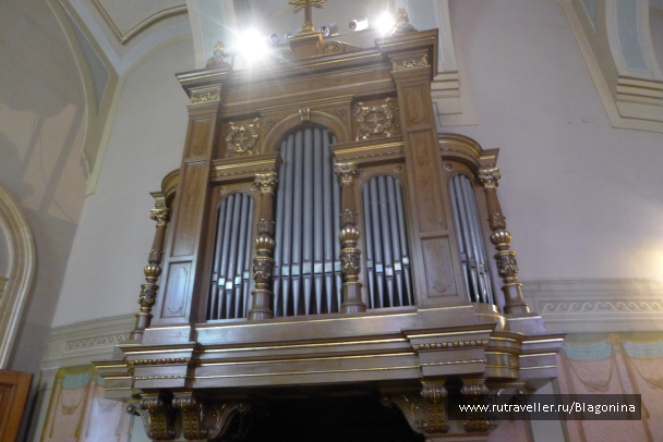 photo 1340256