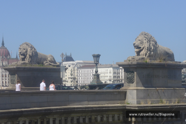 photo 1345576