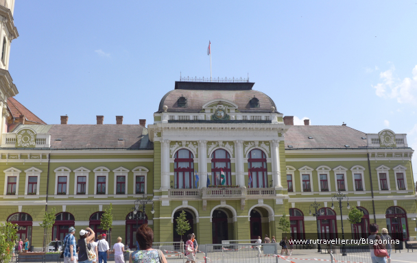 photo 1355658