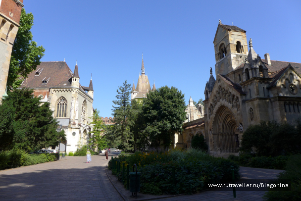 photo 1394664