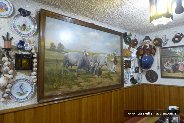 photo 1398476