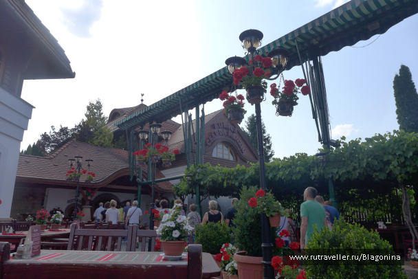 photo 1398479