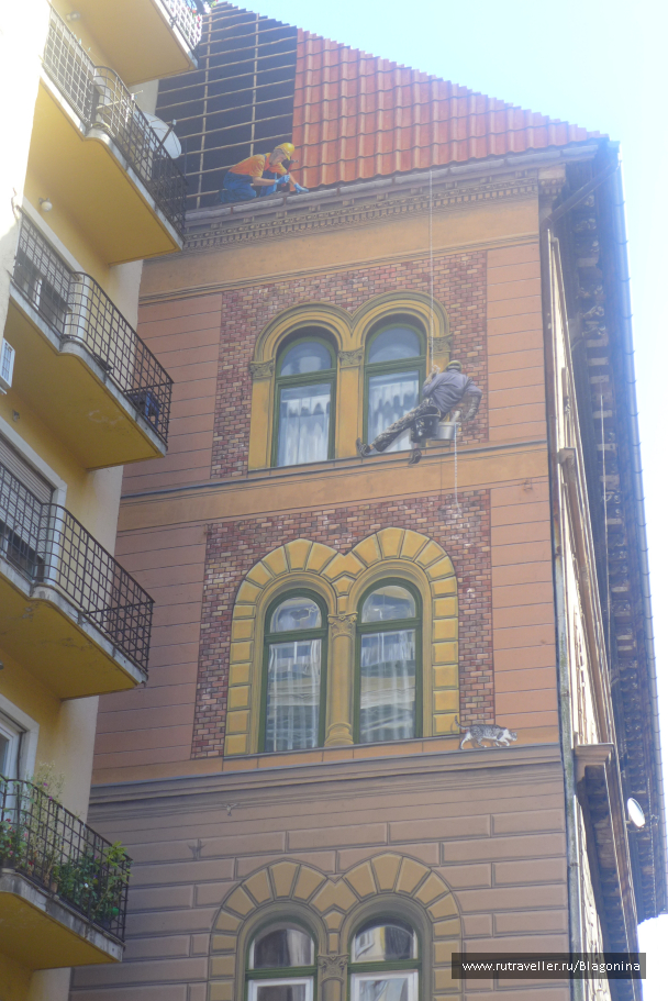 photo 1402869