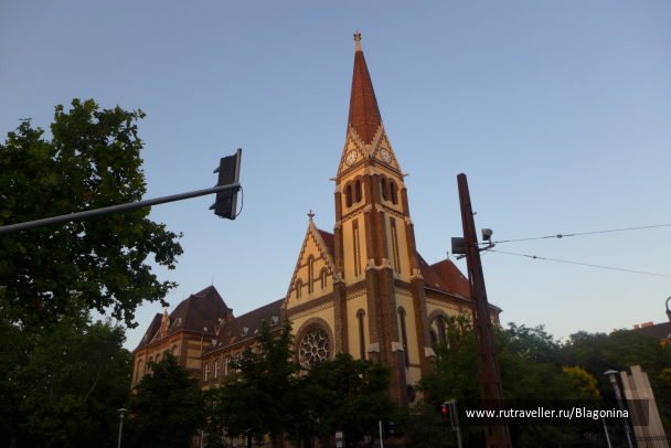 photo 1408584