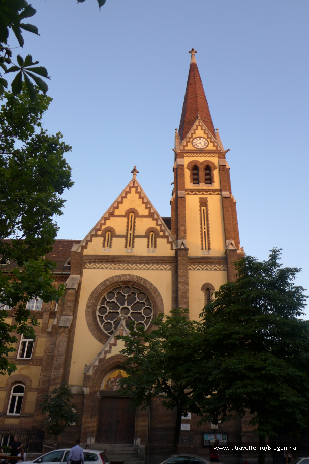 photo 1408586