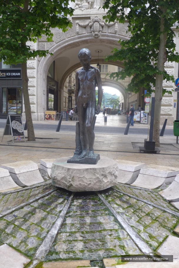 photo 1411444