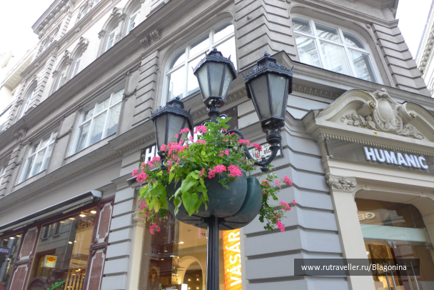 photo 1411447