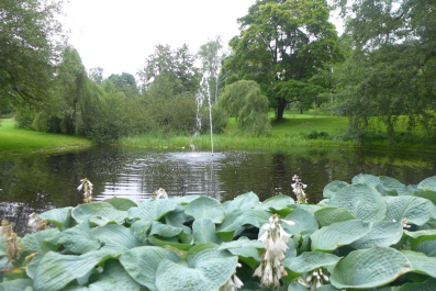 photo 1346099