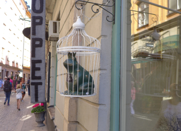 photo 1436421