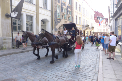photo 1341916