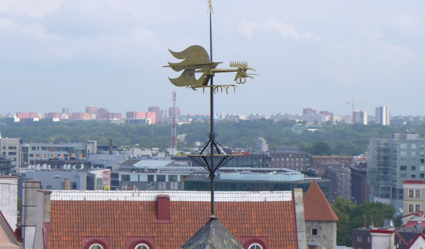 P1170035