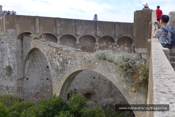 photo 1371671