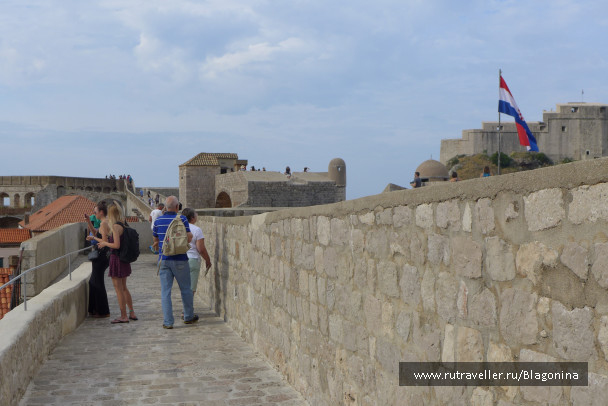 photo 1371673
