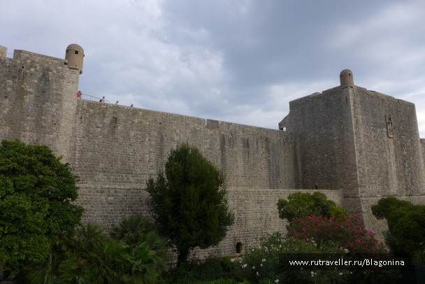 photo 1371677