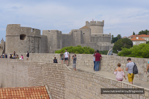 photo 1371695