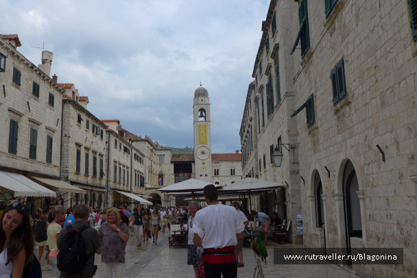 photo 1373636