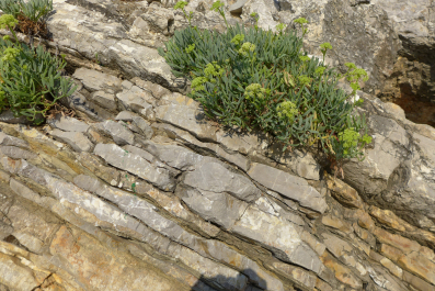 photo 1377359