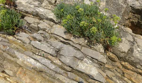 P1170595