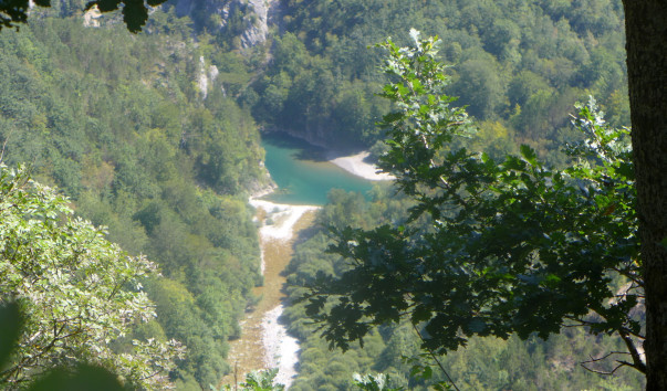 P1180120