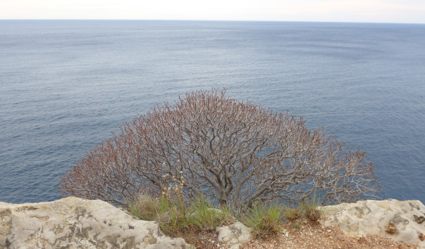 P1200327