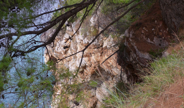 P1200309