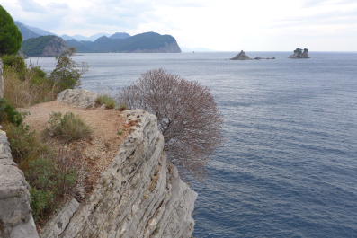 photo 1452520