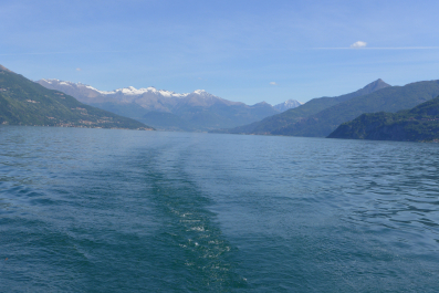 photo 1482491