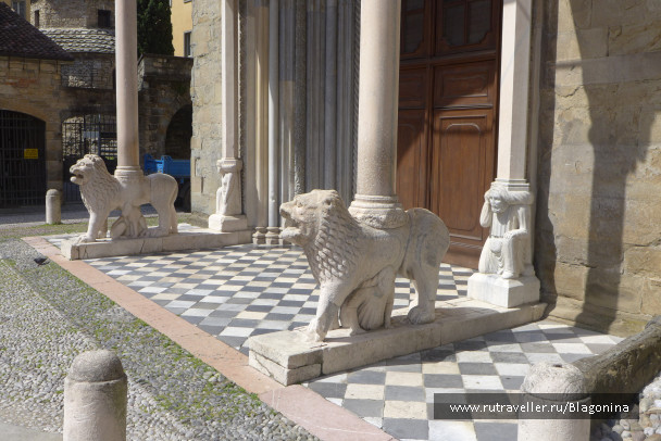 photo 1482570