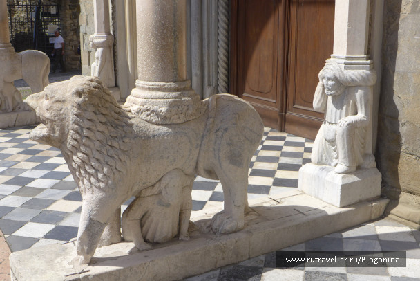 photo 1482579