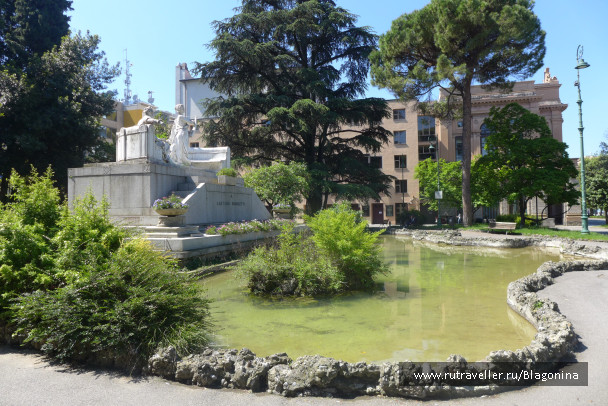 photo 1482916