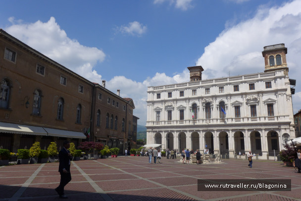 photo 1482924