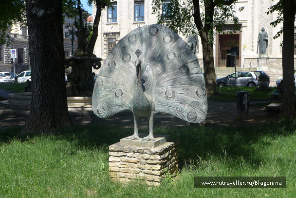 photo 1488579