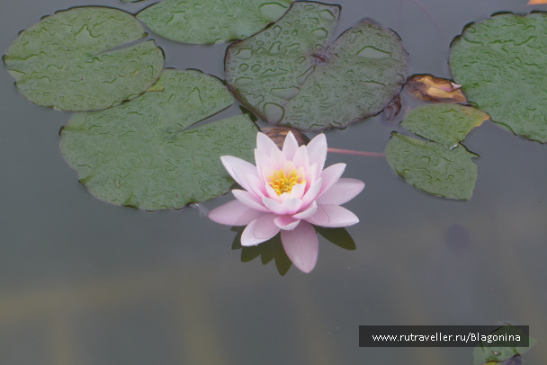photo 1486246